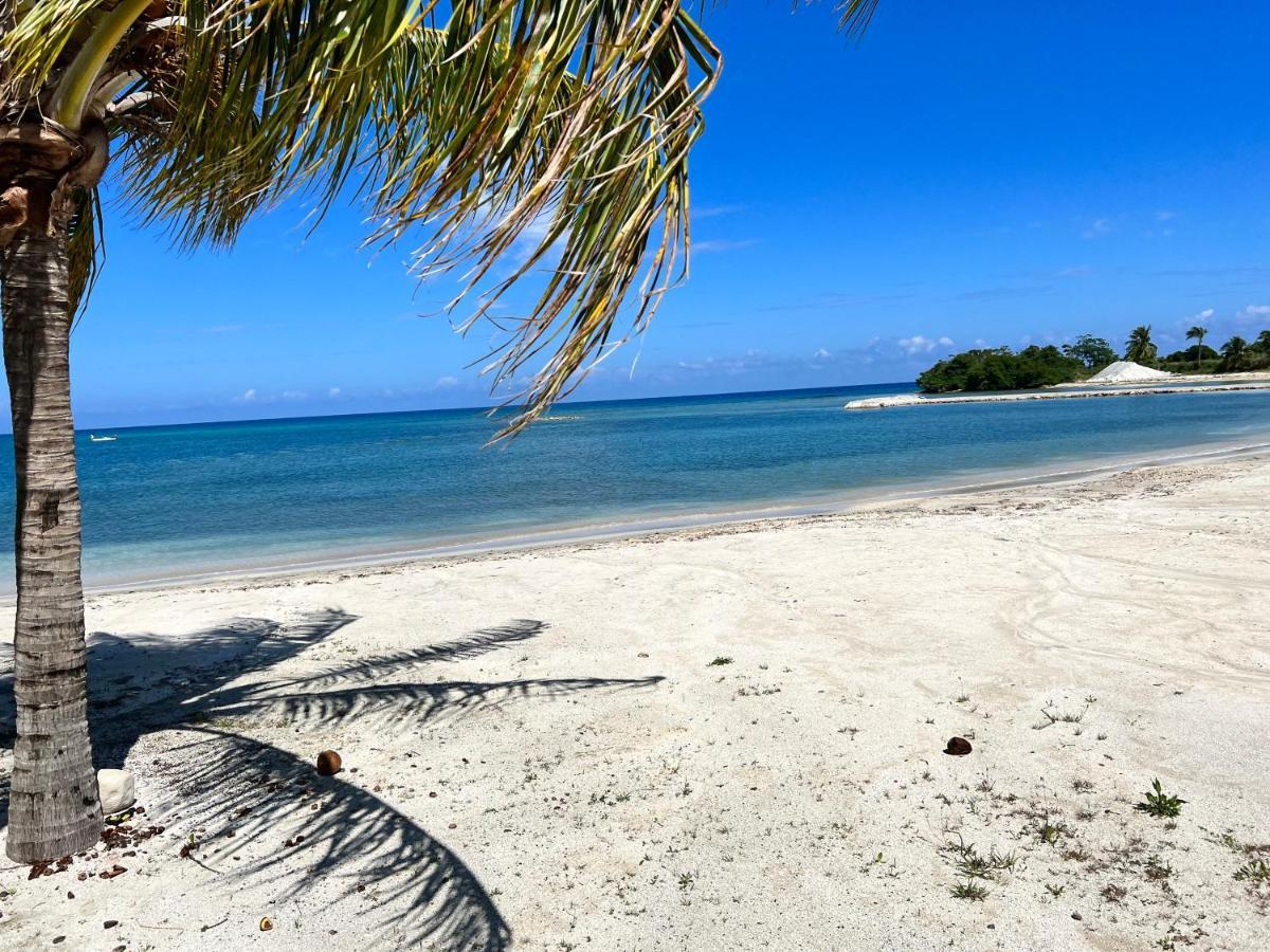 דירות Richmond Ocho Rios Ocean Escape מראה חיצוני תמונה